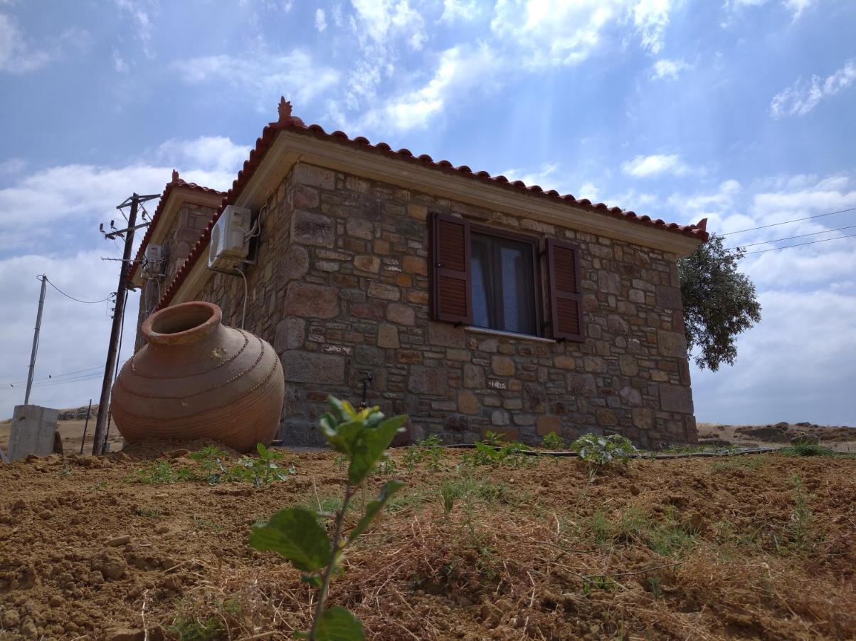 Paliokaliva Home Roussopoulio Luaran gambar