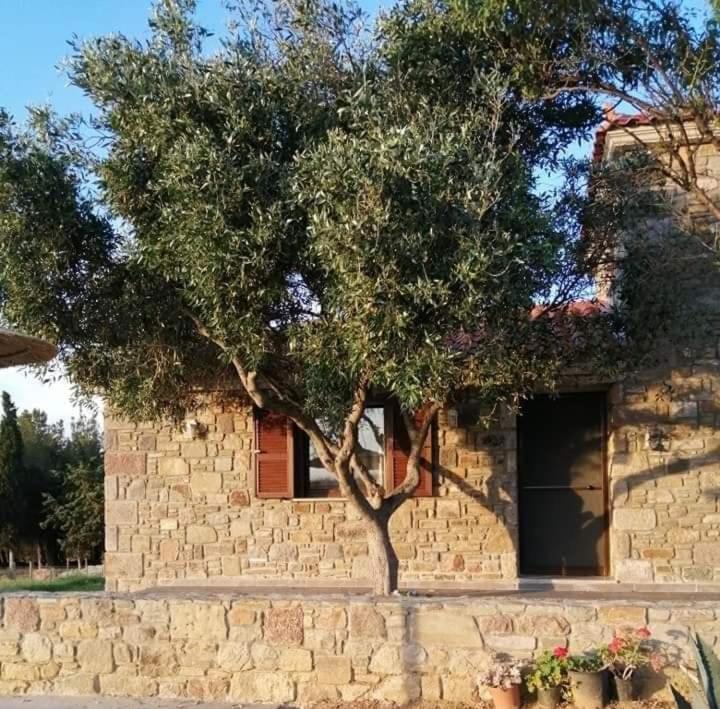 Paliokaliva Home Roussopoulio Luaran gambar
